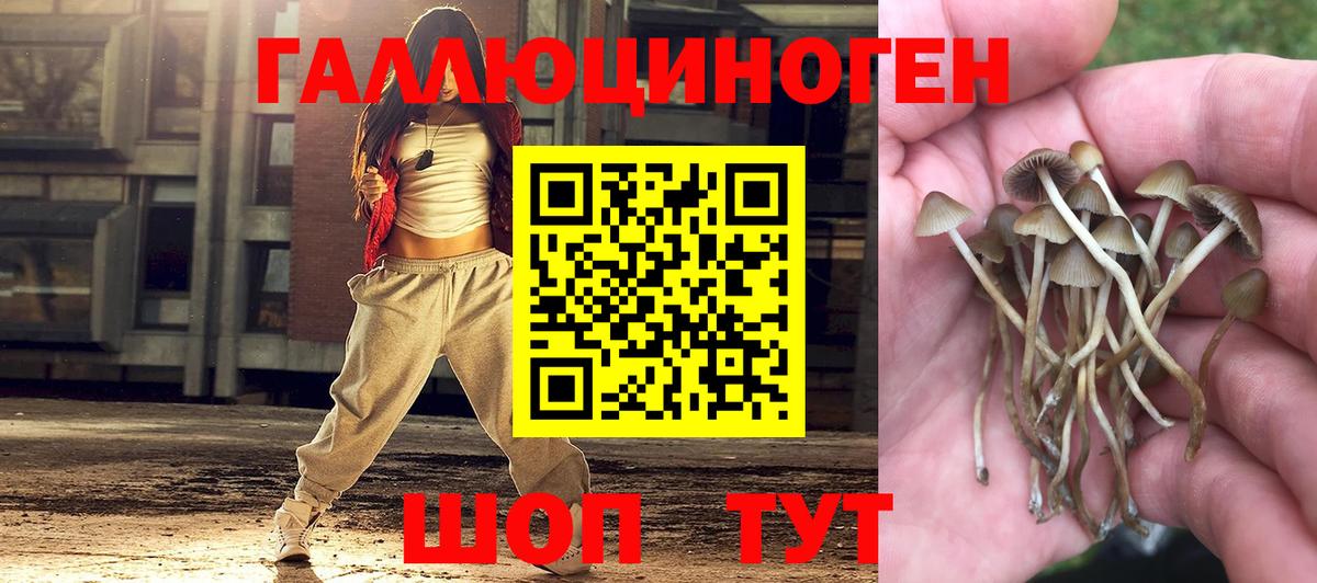 Галлюциногенные грибы Magic Shrooms Каменка