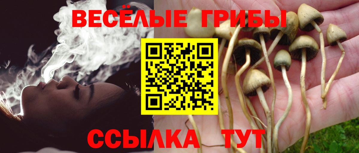 Галлюциногенные грибы ЛСД  Галлюциногенные грибы Psilocybe  Каменка  Вход с VPN 